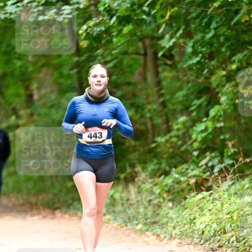 11.10.2026 - Bramfelder Halbmarathon 2026 Dr. Thomas Lammeyer http://msf.ph/oto/10818454 11.10.2026 10:04:10 Laufen 443 meine-sportfotos.de