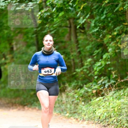 11.10.2026 - Bramfelder Halbmarathon 2026 Dr. Thomas Lammeyer http://msf.ph/oto/10818455 11.10.2026 10:04:10 Laufen 443 meine-sportfotos.de