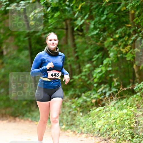 11.10.2026 - Bramfelder Halbmarathon 2026 Dr. Thomas Lammeyer http://msf.ph/oto/10818457 11.10.2026 10:04:10 Laufen 443 meine-sportfotos.de
