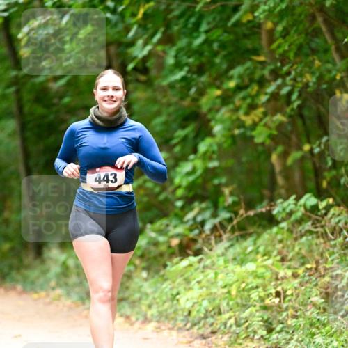 11.10.2026 - Bramfelder Halbmarathon 2026 Dr. Thomas Lammeyer http://msf.ph/oto/10818460 11.10.2026 10:04:11 Laufen 443 meine-sportfotos.de