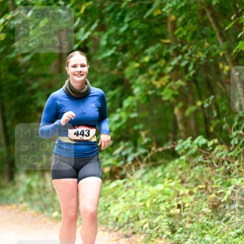 11.10.2026 - Bramfelder Halbmarathon 2026 Dr. Thomas Lammeyer http://msf.ph/oto/10818462 11.10.2026 10:04:11 Laufen 443 meine-sportfotos.de