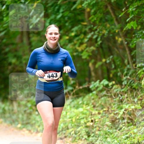 11.10.2026 - Bramfelder Halbmarathon 2026 Dr. Thomas Lammeyer http://msf.ph/oto/10818465 11.10.2026 10:04:11 Laufen 443 meine-sportfotos.de