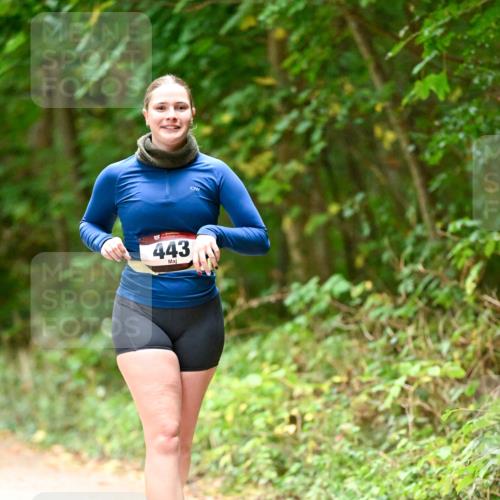 11.10.2026 - Bramfelder Halbmarathon 2026 Dr. Thomas Lammeyer http://msf.ph/oto/10818466 11.10.2026 10:04:11 Laufen 443 meine-sportfotos.de