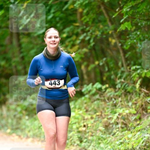 11.10.2026 - Bramfelder Halbmarathon 2026 Dr. Thomas Lammeyer http://msf.ph/oto/10818467 11.10.2026 10:04:12 Laufen 443 meine-sportfotos.de
