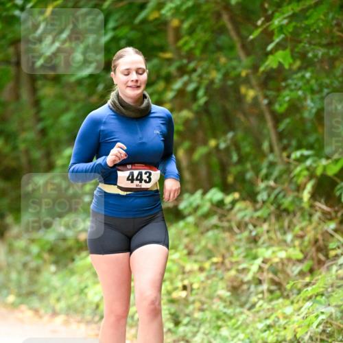 11.10.2026 - Bramfelder Halbmarathon 2026 Dr. Thomas Lammeyer http://msf.ph/oto/10818468 11.10.2026 10:04:12 Laufen 443 meine-sportfotos.de