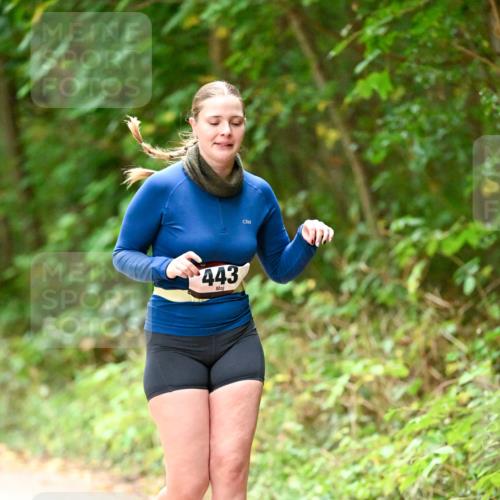 11.10.2026 - Bramfelder Halbmarathon 2026 Dr. Thomas Lammeyer http://msf.ph/oto/10818470 11.10.2026 10:04:12 Laufen 443 meine-sportfotos.de