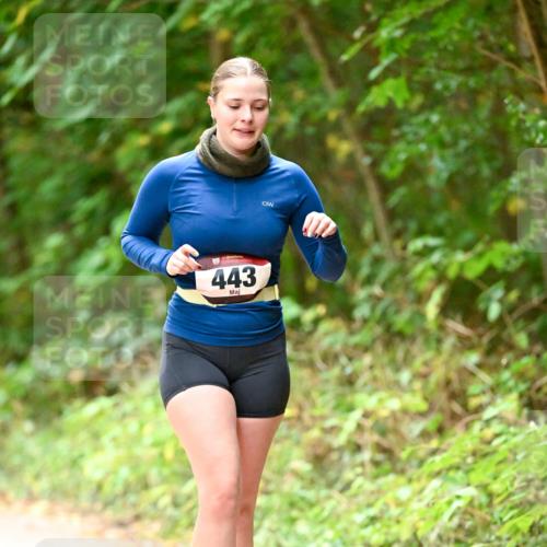 11.10.2026 - Bramfelder Halbmarathon 2026 Dr. Thomas Lammeyer http://msf.ph/oto/10818471 11.10.2026 10:04:12 Laufen 443 meine-sportfotos.de