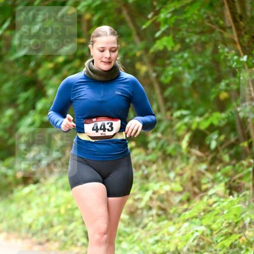 11.10.2026 - Bramfelder Halbmarathon 2026 Dr. Thomas Lammeyer http://msf.ph/oto/10818472 11.10.2026 10:04:12 Laufen 443 meine-sportfotos.de