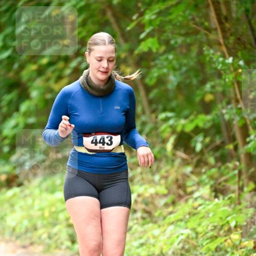 11.10.2026 - Bramfelder Halbmarathon 2026 Dr. Thomas Lammeyer http://msf.ph/oto/10818473 11.10.2026 10:04:12 Laufen 443 meine-sportfotos.de