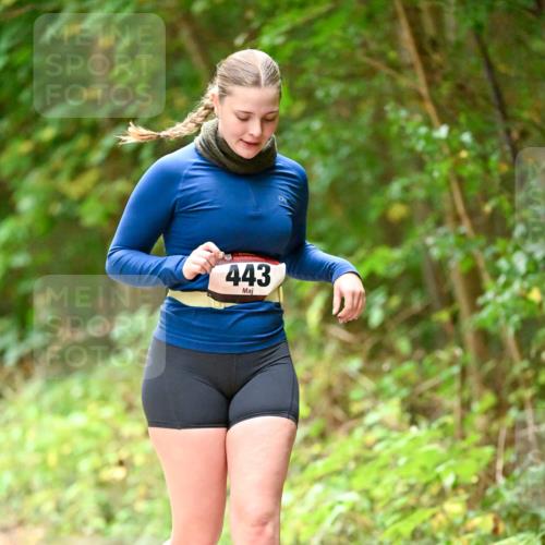 11.10.2026 - Bramfelder Halbmarathon 2026 Dr. Thomas Lammeyer http://msf.ph/oto/10818475 11.10.2026 10:04:13 Laufen 443 meine-sportfotos.de