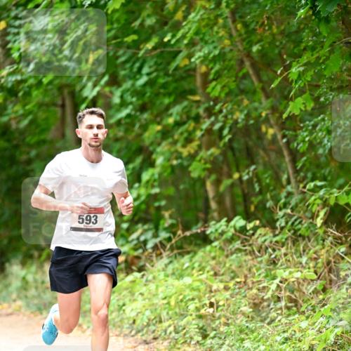 11.10.2026 - Bramfelder Halbmarathon 2026 Dr. Thomas Lammeyer http://msf.ph/oto/10818521 11.10.2026 10:05:41 Laufen 593 meine-sportfotos.de