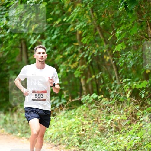 11.10.2026 - Bramfelder Halbmarathon 2026 Dr. Thomas Lammeyer http://msf.ph/oto/10818522 11.10.2026 10:05:42 Laufen 593 meine-sportfotos.de