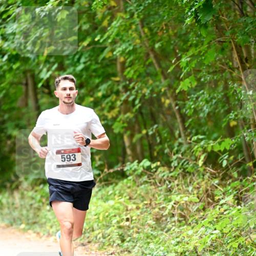 11.10.2026 - Bramfelder Halbmarathon 2026 Dr. Thomas Lammeyer http://msf.ph/oto/10818523 11.10.2026 10:05:42 Laufen 593 meine-sportfotos.de