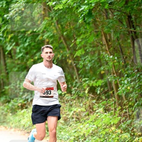 11.10.2026 - Bramfelder Halbmarathon 2026 Dr. Thomas Lammeyer http://msf.ph/oto/10818526 11.10.2026 10:05:42 Laufen 393 meine-sportfotos.de