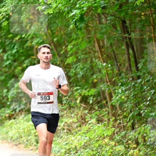 11.10.2026 - Bramfelder Halbmarathon 2026 Dr. Thomas Lammeyer http://msf.ph/oto/10818527 11.10.2026 10:05:42 Laufen 593 meine-sportfotos.de