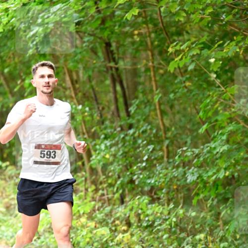 11.10.2026 - Bramfelder Halbmarathon 2026 Dr. Thomas Lammeyer http://msf.ph/oto/10818530 11.10.2026 10:05:43 Laufen 593 meine-sportfotos.de