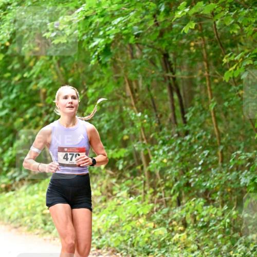 11.10.2026 - Bramfelder Halbmarathon 2026 Dr. Thomas Lammeyer http://msf.ph/oto/10818565 11.10.2026 10:05:52 Laufen 47 meine-sportfotos.de