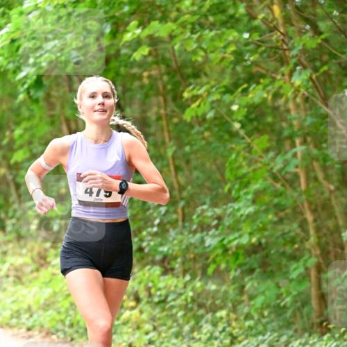 11.10.2026 - Bramfelder Halbmarathon 2026 Dr. Thomas Lammeyer http://msf.ph/oto/10818569 11.10.2026 10:05:53 Laufen 475 meine-sportfotos.de