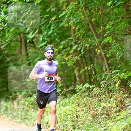 11.10.2026 - Bramfelder Halbmarathon 2026 Dr. Thomas Lammeyer http://msf.ph/oto/10818588 11.10.2026 10:06:25 Laufen 439 meine-sportfotos.de