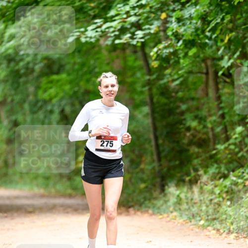11.10.2026 - Bramfelder Halbmarathon 2026 Dr. Thomas Lammeyer http://msf.ph/oto/10818605 11.10.2026 10:06:29 Laufen 275 meine-sportfotos.de