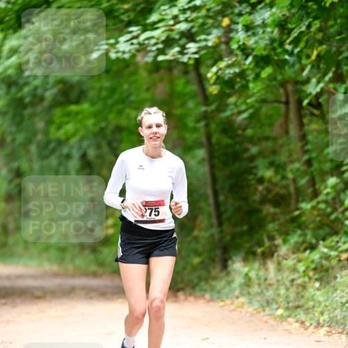 11.10.2026 - Bramfelder Halbmarathon 2026 Dr. Thomas Lammeyer http://msf.ph/oto/10818606 11.10.2026 10:06:30 Laufen 75 meine-sportfotos.de