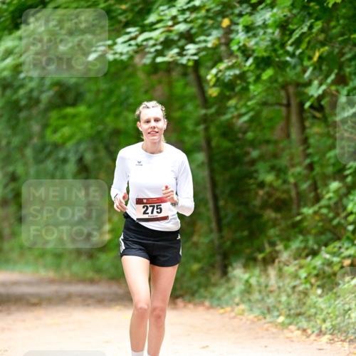 11.10.2026 - Bramfelder Halbmarathon 2026 Dr. Thomas Lammeyer http://msf.ph/oto/10818607 11.10.2026 10:06:30 Laufen 275 meine-sportfotos.de