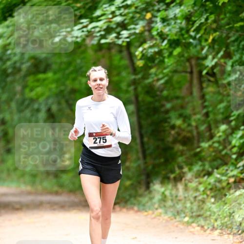 11.10.2026 - Bramfelder Halbmarathon 2026 Dr. Thomas Lammeyer http://msf.ph/oto/10818608 11.10.2026 10:06:30 Laufen 275 meine-sportfotos.de