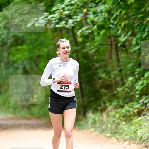 11.10.2026 - Bramfelder Halbmarathon 2026 Dr. Thomas Lammeyer http://msf.ph/oto/10818611 11.10.2026 10:06:30 Laufen 275 meine-sportfotos.de