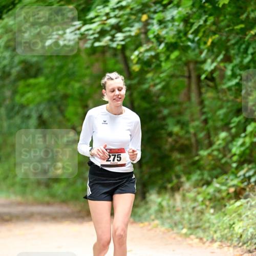 11.10.2026 - Bramfelder Halbmarathon 2026 Dr. Thomas Lammeyer http://msf.ph/oto/10818612 11.10.2026 10:06:30 Laufen 275 meine-sportfotos.de