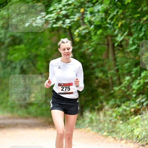 11.10.2026 - Bramfelder Halbmarathon 2026 Dr. Thomas Lammeyer http://msf.ph/oto/10818613 11.10.2026 10:06:31 Laufen 275 meine-sportfotos.de