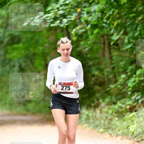 11.10.2026 - Bramfelder Halbmarathon 2026 Dr. Thomas Lammeyer http://msf.ph/oto/10818615 11.10.2026 10:06:31 Laufen 275 meine-sportfotos.de