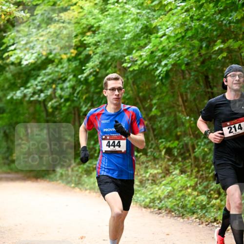11.10.2026 - Bramfelder Halbmarathon 2026 Dr. Thomas Lammeyer http://msf.ph/oto/10818647 11.10.2026 10:06:57 Laufen 444, 214 meine-sportfotos.de
