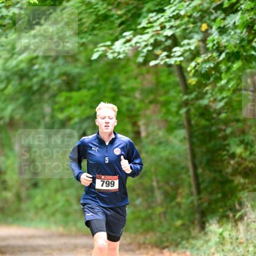 11.10.2026 - Bramfelder Halbmarathon 2026 Dr. Thomas Lammeyer http://msf.ph/oto/10818815 11.10.2026 10:09:28 Laufen 30, 799 meine-sportfotos.de