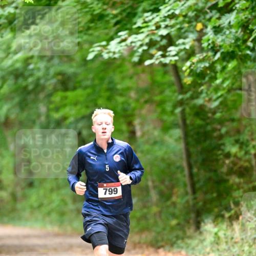 11.10.2026 - Bramfelder Halbmarathon 2026 Dr. Thomas Lammeyer http://msf.ph/oto/10818816 11.10.2026 10:09:28 Laufen 799 meine-sportfotos.de