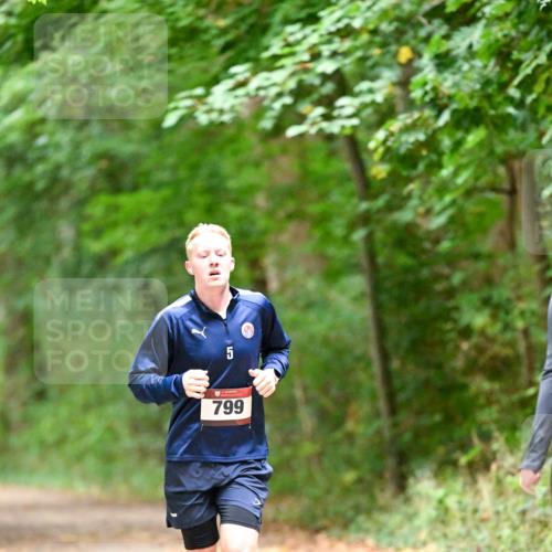 11.10.2026 - Bramfelder Halbmarathon 2026 Dr. Thomas Lammeyer http://msf.ph/oto/10818817 11.10.2026 10:09:29 Laufen 5, 799 meine-sportfotos.de