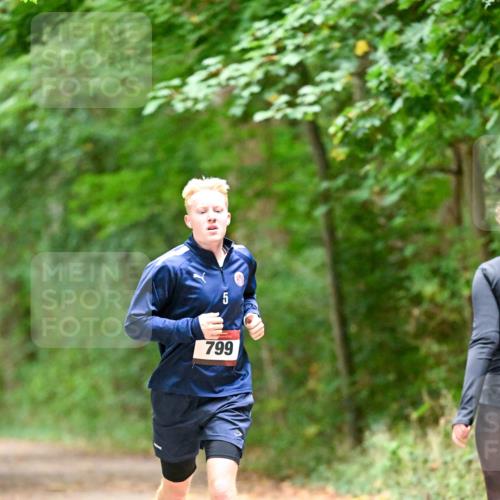 11.10.2026 - Bramfelder Halbmarathon 2026 Dr. Thomas Lammeyer http://msf.ph/oto/10818818 11.10.2026 10:09:29 Laufen 799 meine-sportfotos.de