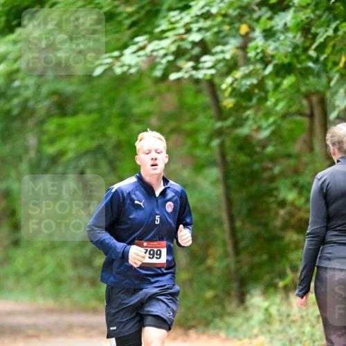 11.10.2026 - Bramfelder Halbmarathon 2026 Dr. Thomas Lammeyer http://msf.ph/oto/10818819 11.10.2026 10:09:29 Laufen 5, 799 meine-sportfotos.de