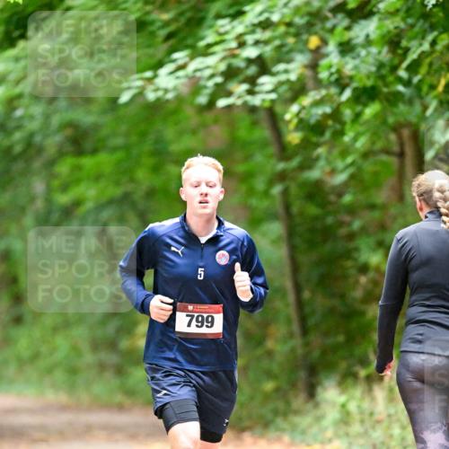 11.10.2026 - Bramfelder Halbmarathon 2026 Dr. Thomas Lammeyer http://msf.ph/oto/10818820 11.10.2026 10:09:29 Laufen 5, 799 meine-sportfotos.de