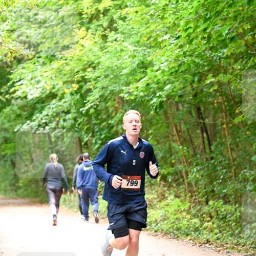 11.10.2026 - Bramfelder Halbmarathon 2026 Dr. Thomas Lammeyer http://msf.ph/oto/10818822 11.10.2026 10:09:31 Laufen 4, 5, 799 meine-sportfotos.de