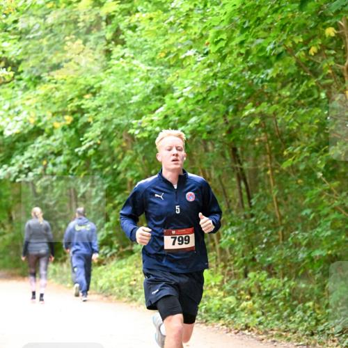 11.10.2026 - Bramfelder Halbmarathon 2026 Dr. Thomas Lammeyer http://msf.ph/oto/10818824 11.10.2026 10:09:31 Laufen 799 meine-sportfotos.de