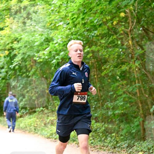 11.10.2026 - Bramfelder Halbmarathon 2026 Dr. Thomas Lammeyer http://msf.ph/oto/10818826 11.10.2026 10:09:32 Laufen 5, 799 meine-sportfotos.de