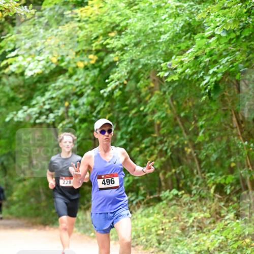 11.10.2026 - Bramfelder Halbmarathon 2026 Dr. Thomas Lammeyer http://msf.ph/oto/10818853 11.10.2026 10:09:47 Laufen 228, 496 meine-sportfotos.de