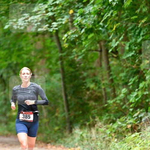 11.10.2026 - Bramfelder Halbmarathon 2026 Dr. Thomas Lammeyer http://msf.ph/oto/10818875 11.10.2026 10:10:11 Laufen 385 meine-sportfotos.de