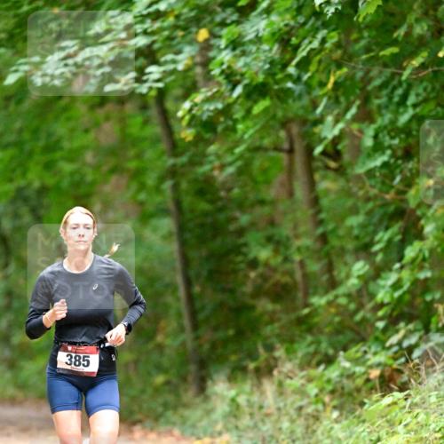 11.10.2026 - Bramfelder Halbmarathon 2026 Dr. Thomas Lammeyer http://msf.ph/oto/10818876 11.10.2026 10:10:11 Laufen 385 meine-sportfotos.de