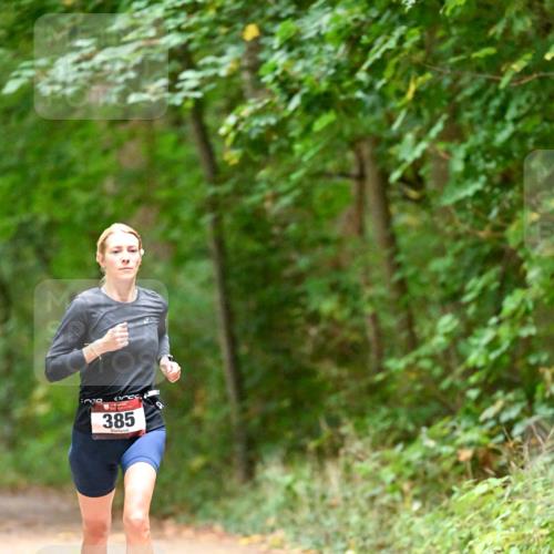 11.10.2026 - Bramfelder Halbmarathon 2026 Dr. Thomas Lammeyer http://msf.ph/oto/10818877 11.10.2026 10:10:12 Laufen 385 meine-sportfotos.de