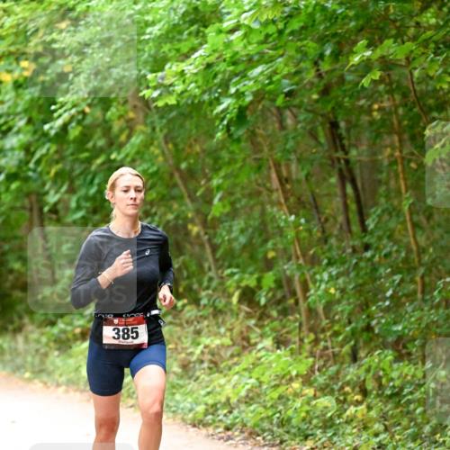 11.10.2026 - Bramfelder Halbmarathon 2026 Dr. Thomas Lammeyer http://msf.ph/oto/10818892 11.10.2026 10:10:14 Laufen 385 meine-sportfotos.de
