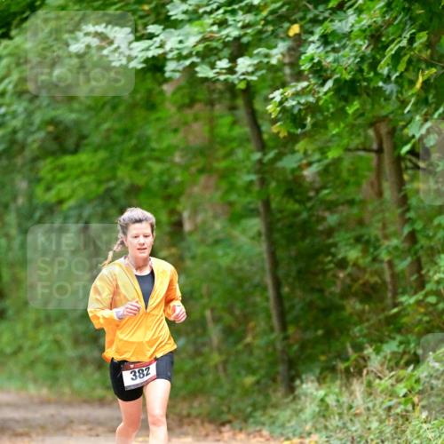 11.10.2026 - Bramfelder Halbmarathon 2026 Dr. Thomas Lammeyer http://msf.ph/oto/10818922 11.10.2026 10:10:30 Laufen 382 meine-sportfotos.de