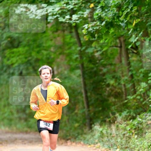 11.10.2026 - Bramfelder Halbmarathon 2026 Dr. Thomas Lammeyer http://msf.ph/oto/10818925 11.10.2026 10:10:30 Laufen 382 meine-sportfotos.de