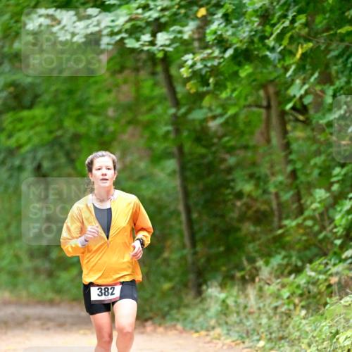 11.10.2026 - Bramfelder Halbmarathon 2026 Dr. Thomas Lammeyer http://msf.ph/oto/10818926 11.10.2026 10:10:30 Laufen 382 meine-sportfotos.de