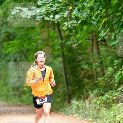 11.10.2026 - Bramfelder Halbmarathon 2026 Dr. Thomas Lammeyer http://msf.ph/oto/10818927 11.10.2026 10:10:30 Laufen 382 meine-sportfotos.de